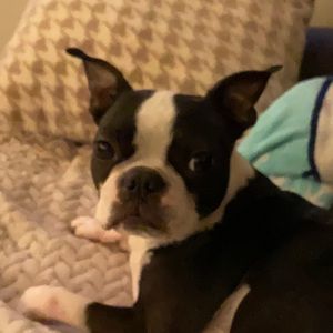 Meet your Posher, Michelle